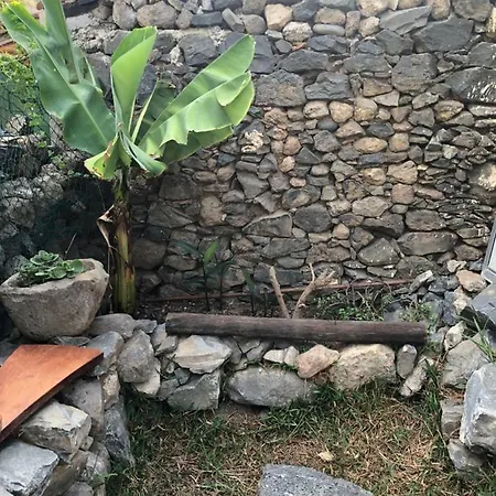 Los Alenes De Flor Semesterbostad